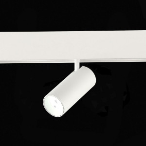 Трековый магнитный светильник ST Luce Skyline 48 ST375.506.07ZGB