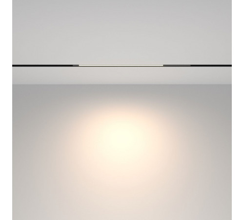 Трековый магнитный светильник Maytoni Technical Basis TR231-2-10W4K-B