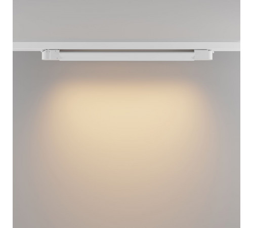 Трековый трехфазный светильник Maytoni Technical Basis TR196-3-20W2.7K-W(N)