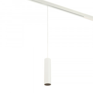 Трековый магнитный светильник Myfar Ray MT0221-20W3K-S-W