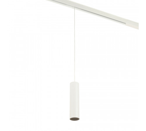 Трековый магнитный светильник Myfar Ray MT0221-20W3K-S-W