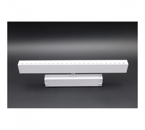 Трековый магнитный светильник Aployt Magnetic track 220 APL.0202.10.18