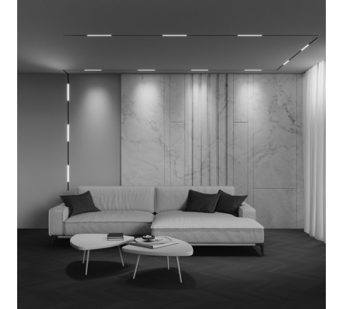 Трековый магнитный светильник Maytoni Technical Basis Exility X TR240-2-6W4K-B