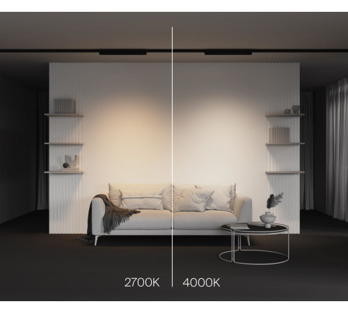 Трековый трехфазный светильник Maytoni Technical Basis TR196-3-20W2.7K-B(N)