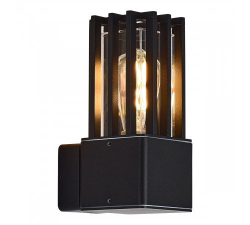 Уличный настенный светильник ST Luce Irum SL9018.401.01