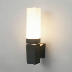 Уличный настенный светильник Elektrostandard 1534 TECHNO LED 3000K чёрный 4690389219191 a072067