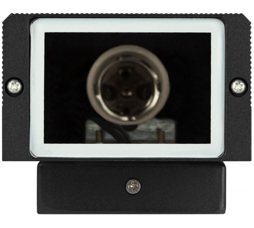 Уличный настенный светильник Эра Астрея GBW-101-BL-0200