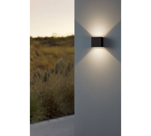 Уличный настенный светильник Eglo Calpino 3 901064