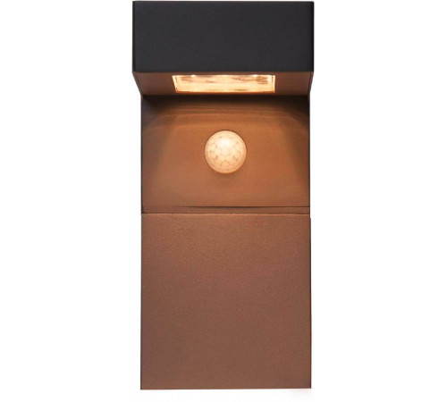 Уличный настенный светильник Eglo Baracconi 900245