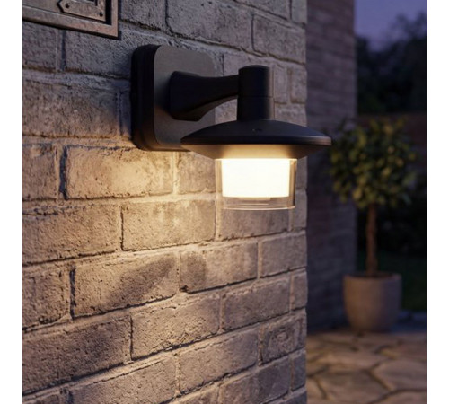 Уличный настенный светильник Reluce 08335-9.2-001JH LED12W BK RLOS