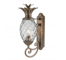 Уличный настенный светильник Hinkley HK-PLANTATION-M-BU