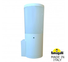 Уличный настенный светильник Fumagalli AMELIA WALL DR2.570.000.WYE27