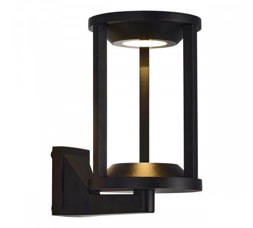 Уличный настенный светильник ST Luce Glorr SL9535.401.01