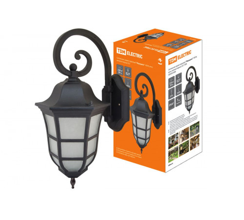 Уличный настенный светильник TDM Electric Меридиан SQ0330-0096