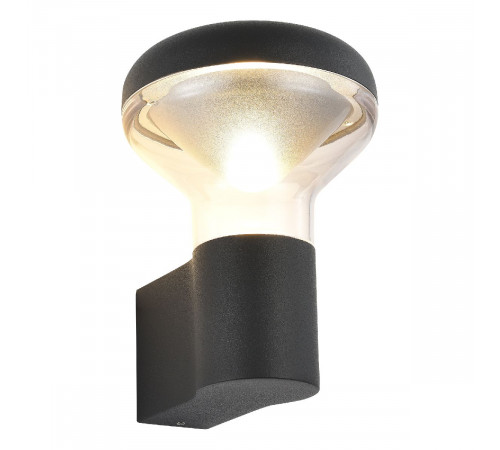 Уличный настенный светильник ST Luce Drop SL9541.701.01