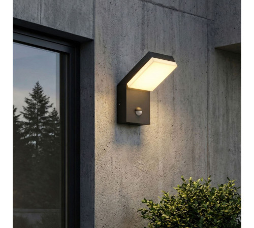 Уличный настенный светильник с датчиком движения Elektrostandard Sensor 1541 TECHNO LED черный 4690389219245 a072087