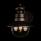 Уличный настенный светильник Loft IT Piemonte 100022W