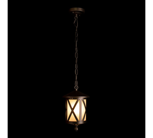 Уличный подвесной светильник Loft IT Ravenna 100016P Уличный подвесной светильник Loft IT Ravenna 100016P