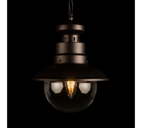 Уличный подвесной светильник Loft IT Piemonte 100022P