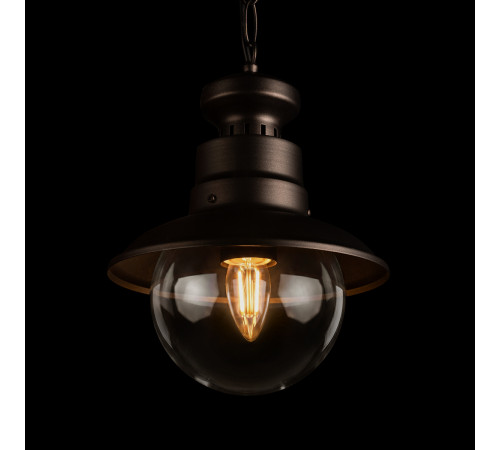Уличный подвесной светильник Loft IT Piemonte 100022P