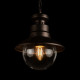 Уличный подвесной светильник Loft IT Piemonte 100022P