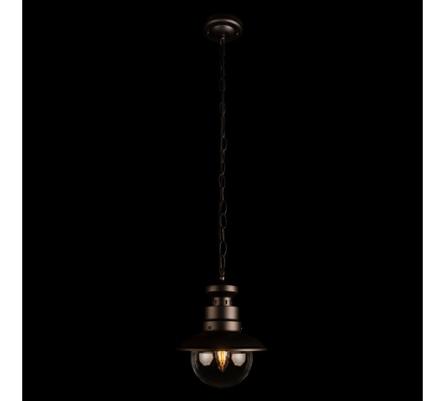 Уличный подвесной светильник Loft IT Piemonte 100022P