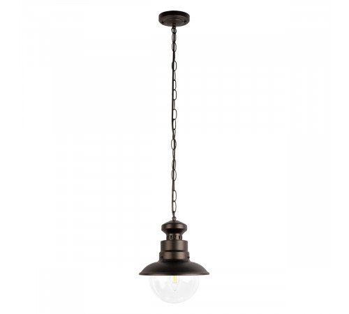 Уличный подвесной светильник Loft IT Piemonte 100022P