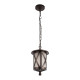 Уличный подвесной светильник Loft IT Ravenna 100016P