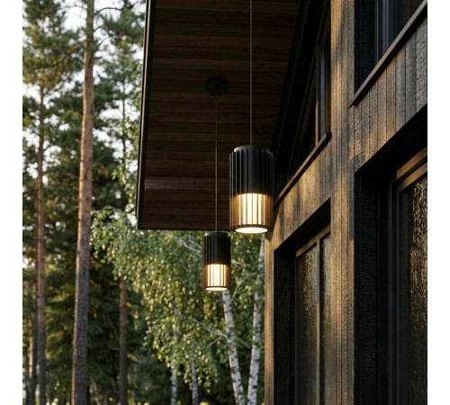 Уличный подвесной светильник Elektrostandard Entero 35189/H черный 4690389219337 a072081