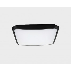 Уличный потолочный светильник Italline IT6012