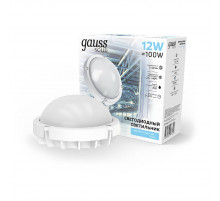 Уличный светодиодный светильник Gauss 874518212