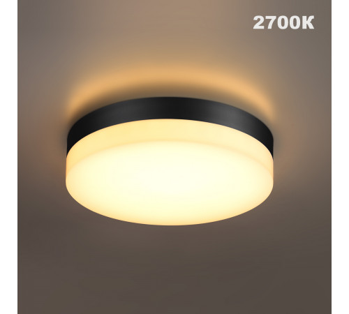 Уличный потолочный светильник с переключателем цв. температуры и мощности Novotech Street Opal 359731