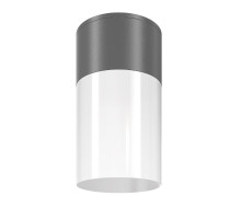 Уличный потолочный светильник Maytoni Willis O418CL-01GR