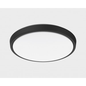 Уличный потолочный светильник Italline IT6011