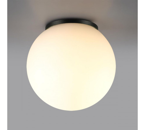 Уличный потолочный светильник Odeon Light Nature Viva 7124/1C