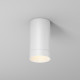 Уличный потолочный светильник Maytoni Luxe O500CL-L5W3K