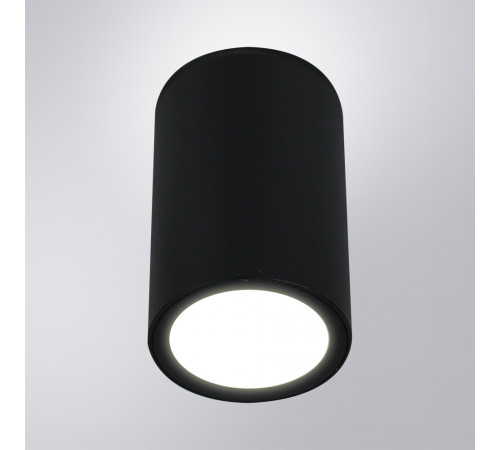 Уличный потолочный светильник Arte Lamp Torcular A1307PF-1BK