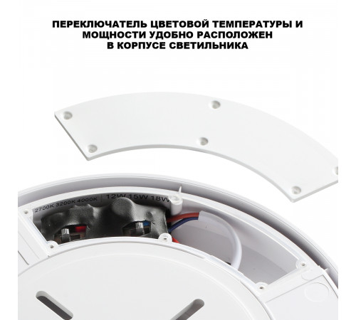 Уличный потолочный светильник с переключателем цв. температуры и мощности Novotech Street Opal 359728