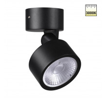 Уличный потолочный светильник Novotech Street Focus 359588