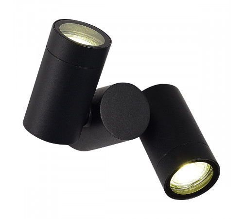 Уличный потолочный светильник ST Luce Ecollo SL9011.402.02