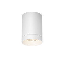 Уличный потолочный светильник Maytoni Luxe O500CL-L10W3K