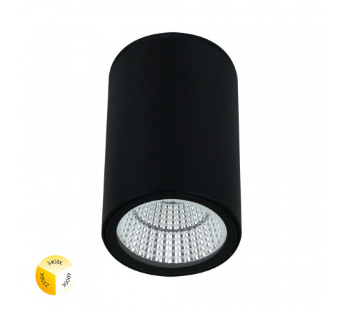 Уличный потолочный светильник Arte Lamp Torcular A1307PF-1BK