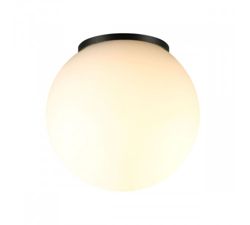 Уличный потолочный светильник Odeon Light Nature Viva 7124/1C