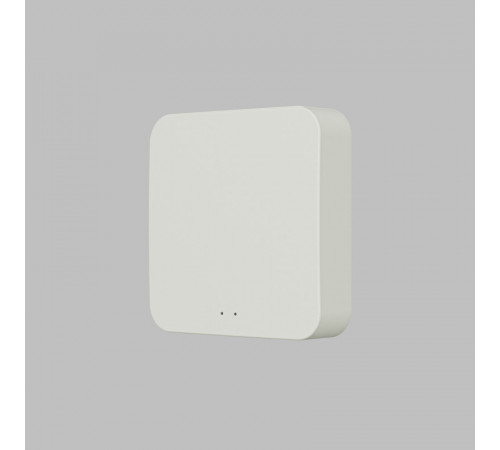 Конвертер WiFi-Zigbee/BLE для умного дома Denkirs Zigbee Control DK7402-WF