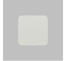 Конвертер WiFi-Zigbee/BLE для умного дома Denkirs Zigbee Control DK7402-WF