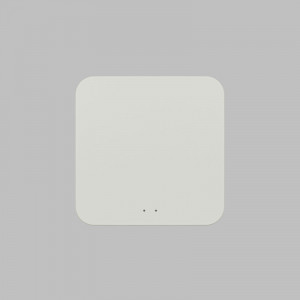 Конвертер WiFi-Zigbee/BLE для умного дома Denkirs Zigbee Control DK7402-WF