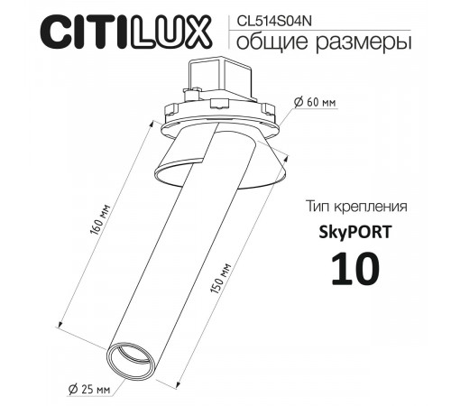 Встраиваемый спот Citilux Stek CL514S04N