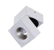 Спот DesignLed LC1329WH-5-NW 004205