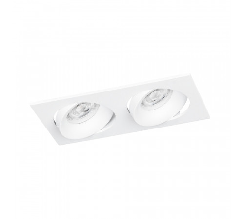 Встраиваемый светильник Arte Lamp Kant A9610PL-2WH