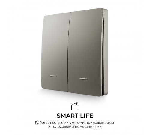 Выключатель кинетический 2кл., IP44, 2,4 ГГц, Smart, сер. Apeyron 04-79